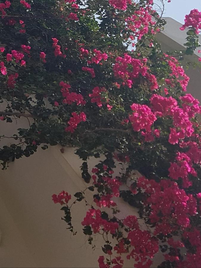 Noble Inn ลูตรากี ภายนอก รูปภาพ